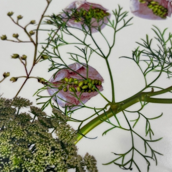 MIX Michael Angove 'Botanic' Design Birch Tray, Limited Edition - Picture 3 of 8